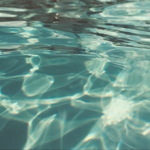 Meet your Posher, Tauna